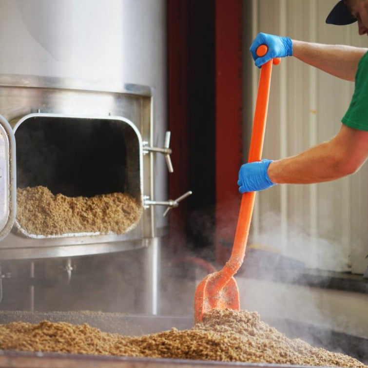 Brew Day Experience 2026